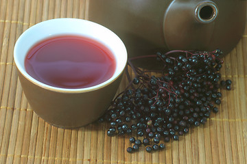 Image showing Tea elder