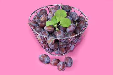 Image showing Fresh plums