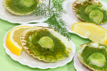 Image showing Scallop shell