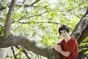 Image showing Teenage Boy Standing in Woods