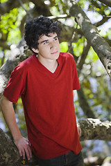 Image showing Portrait of Teen Boy in Woods