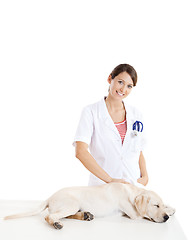 Image showing Veterinay taking care of a dog