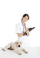 Image showing Veterinay taking care of a dog