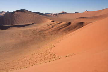 Image showing red dunes of sossusvlei