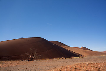 Image showing red dunes of sossusvlei