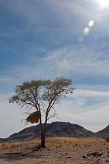 Image showing Landscape in Namibia