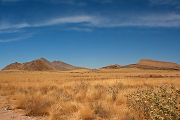 Image showing Landscape in Namibia