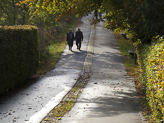 Image showing Autumn walk