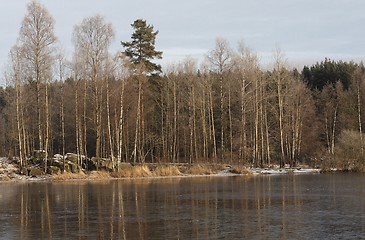 Image showing Winter at the lake