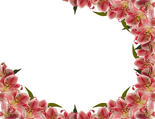 Image showing Flower frame