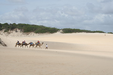 Image showing Genipabu beach