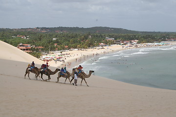 Image showing Genipabu beach