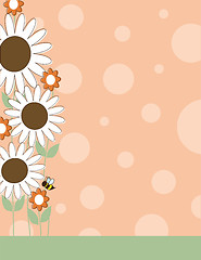 Image showing Daisy Flower Border