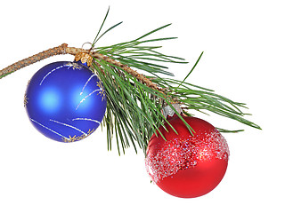 Image showing Christmas branch of a pine