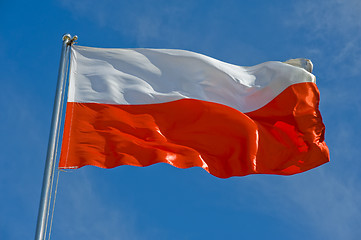 Image showing polish flag