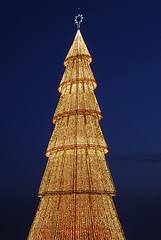 Image showing Beautiful tall Christmas tree (at sunset)