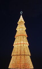 Image showing Beautiful tall Christmas tree (at sunset)