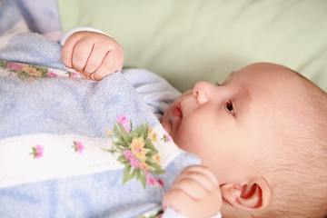 Image showing Adorable newborn in bed