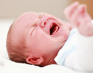 Image showing Crying baby