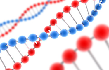 Image showing Molecule of DNA