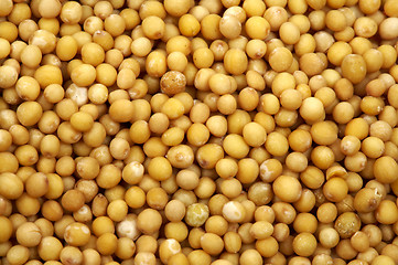 Image showing Mustard seeds