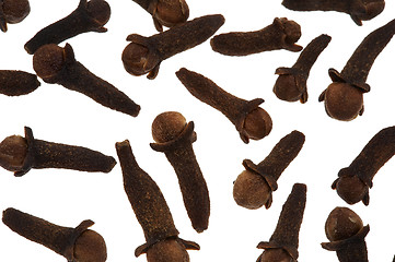 Image showing Whole cloves