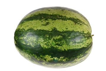 Image showing  watermelon