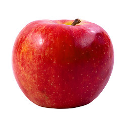 Image showing Red apple(clipping path included)