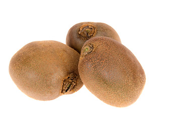 Image showing kiwi