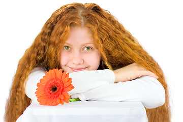 Image showing Woman with gerbera