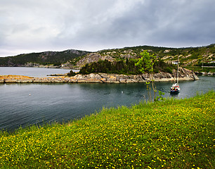 Image showing Atlantic coast in Newfoundland