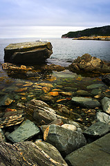 Image showing Atlantic coast in Newfoundland