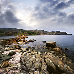 Image showing Atlantic coast in Newfoundland