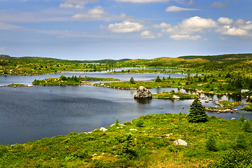 Image showing Beautiful lake shore in Newfoundland