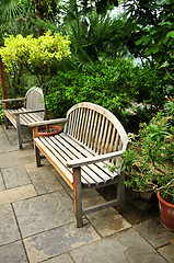 Image showing Lush green garden