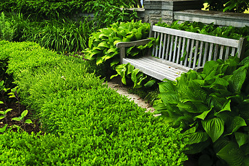 Image showing Lush green garden