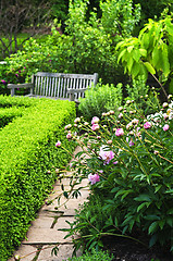 Image showing Lush green garden