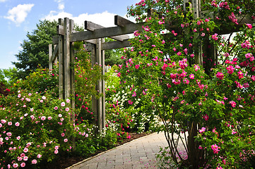 Image showing Lush green garden