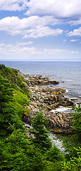 Image showing Atlantic coast in Newfoundland