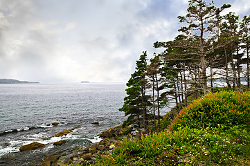 Image showing Atlantic coast in Newfoundland