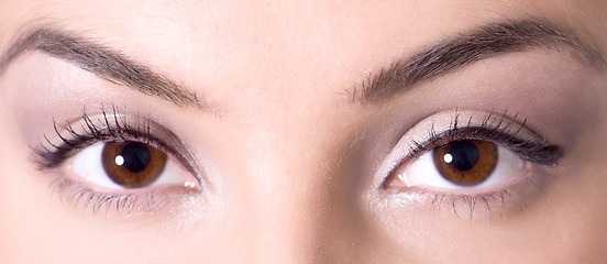 Image showing Beautiful brown eyes