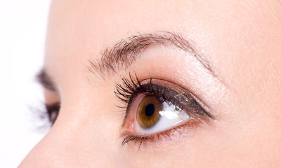 Image showing brown eyes