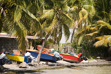 Image showing colorful fishing boat bequia st. vincent and the grenadines