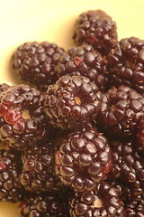 Image showing blackberries 2