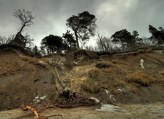 Image showing Baltic coast after storm