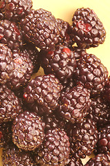Image showing blackberries 1