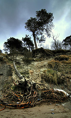 Image showing Baltic coast after storm