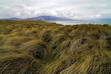 Image showing Beautifull Ireland