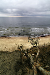Image showing Baltic coast after storm