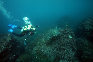 Image showing Scuba diver and sea turtle